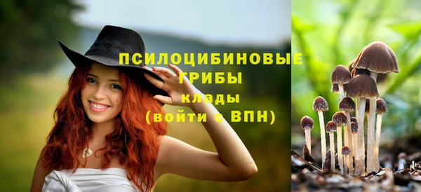 герыч Иннополис