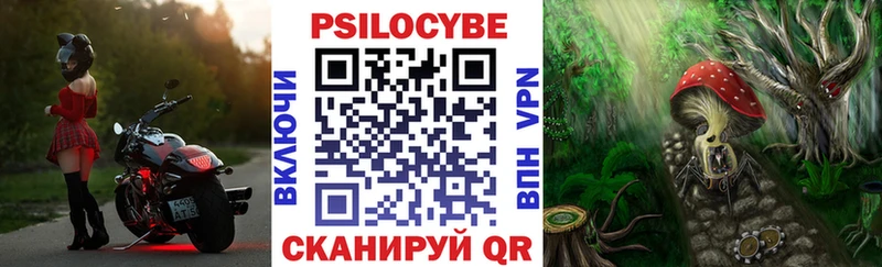 Галлюциногенные грибы прущие грибы  Каргополь 